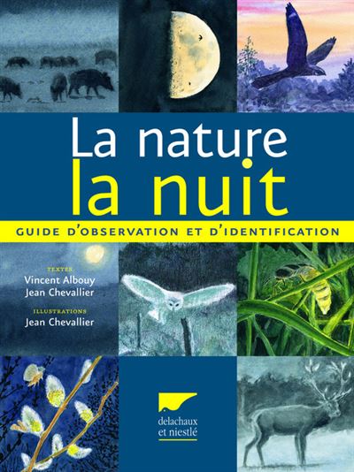 Groupe de travail : Eduquer la nuit