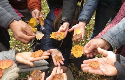 Accompagner les acteurs de l'EEDD santé mentale et environnement