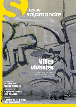 image de couverture
