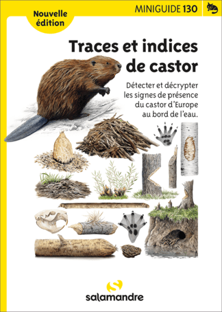 image de couverture / castor