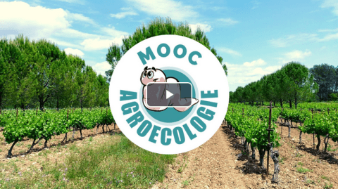 Vidéo de présentation du MOOC Agroécologie Institut Agro Montpellier