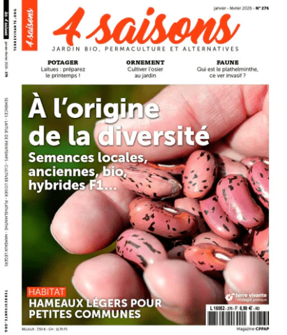 4saisons-semences