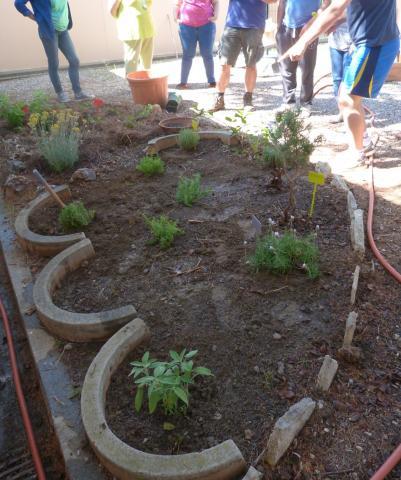 Atelier jardin partagé